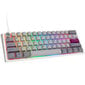 Ducky One 3 Mist Grey Mini RGB LED MX-Ergo-Clear (DKON2161ST-EUSPDMIWHHC2) цена и информация | Klaviatūros | pigu.lt