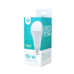 LED lemputė E27 A65 15W 230V 3000K 1450lm Forever Light цена и информация | Электрические лампы | pigu.lt