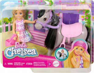 Lėlės Čelsės ir ponio rinkinys Barbie kaina ir informacija | Žaislai mergaitėms | pigu.lt