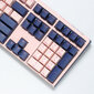 Ducky One 3 Fuji MX-Speed-Silver (DKON2108-PUSPDFUPBBC1) kaina ir informacija | Klaviatūros | pigu.lt