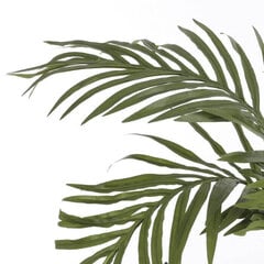 Palmė areka, 150 cm kaina ir informacija | Dirbtinės gėlės | pigu.lt