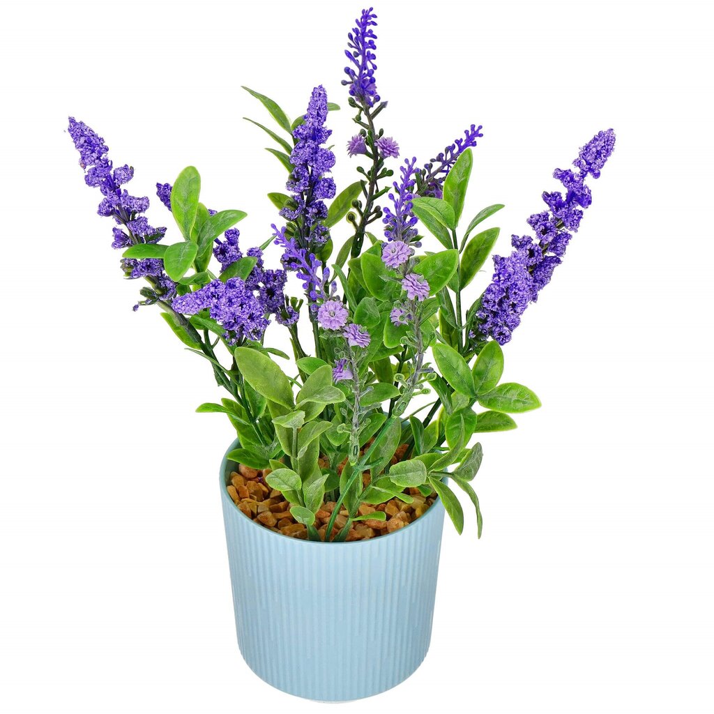 Dirbtinė gėlė Springos HA7428 kaina ir informacija | Dirbtinės gėlės | pigu.lt