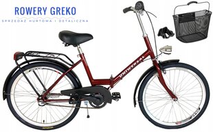 Miesto dviratis Shimano 24', raudonas kaina ir informacija | Dviračiai | pigu.lt