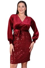Suknelė moterims T1329, raudona kaina ir informacija | Suknelės | pigu.lt