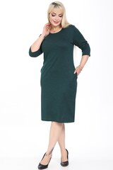 Темно-зеленое платье F5035-ŽA-44/46 цена и информация | Платья | pigu.lt