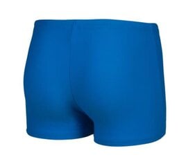 Плавки для мальчиков Arena Splash Point Swim Short Blue China цена и информация | Плавки для мальчиков | pigu.lt