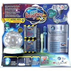 Ateivių Augintiniai Aqua Dragon. 6002 kaina ir informacija | Lavinamieji žaislai | pigu.lt