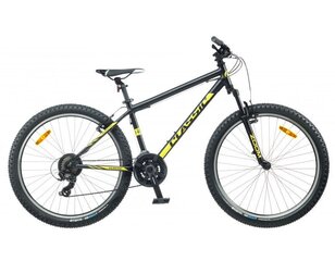 Miesto dviratis Classic Team 26", juodas kaina ir informacija | Classic Sportas, laisvalaikis, turizmas | pigu.lt