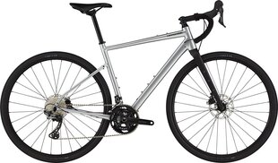 Kalnų dviratis Cannondale Topstone 1 29", pilkas kaina ir informacija | Dviračiai | pigu.lt