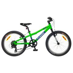 Vaikiškas dviratis Classic Team 20", žalias цена и информация | Велосипеды | pigu.lt