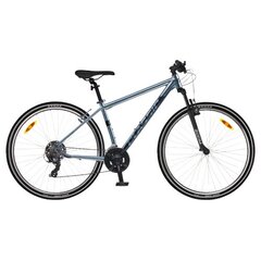 Hibridinis Dviratis Classic Street 21 men 28", mėlynas kaina ir informacija | Classic Sportas, laisvalaikis, turizmas | pigu.lt