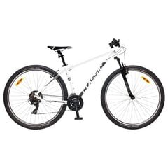 Miesto dviratis Classic Team 29", baltas kaina ir informacija | Classic Sportas, laisvalaikis, turizmas | pigu.lt