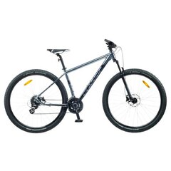 Kalnų dviratis Classic Pro 29" mėlynas kaina ir informacija | Classic Sportas, laisvalaikis, turizmas | pigu.lt