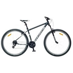 Miesto dviratis Classic Team 24 29", juodas цена и информация | Велосипеды | pigu.lt