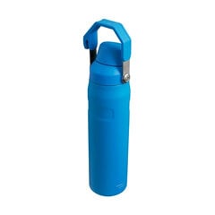 Thermobottle The Aerolight IceFlow Water Bottle Fast Flow 0.6L blue цена и информация | Термосы, термокружки | pigu.lt