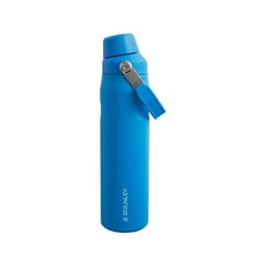 Thermobottle The Aerolight IceFlow Water Bottle Fast Flow 0.6L blue цена и информация | Термосы, термокружки | pigu.lt