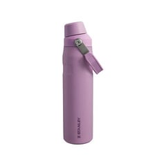 Thermo Bottle The Aerolight IceFlow Water Bottle Fast Flow 0.6L светло-фиолетовый цена и информация | Термосы, термокружки | pigu.lt