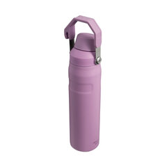 Thermo Bottle The Aerolight IceFlow Water Bottle Fast Flow 0.6L светло-фиолетовый цена и информация | Термосы, термокружки | pigu.lt