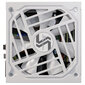 SeaSonic Focus GX 1000 GX-1000-ATX30-White цена и информация | Maitinimo šaltiniai (PSU) | pigu.lt