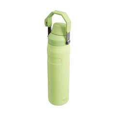 Бутылка для воды Aerolight IceFlow Быстрый поток 0,6 л светло-зеленая цена и информация | Термосы, термокружки | pigu.lt