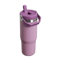 Stanley Termopudele ar salminu The IceFlow Flip Straw Tumbler 0 89L gaisi violeta 2809993312 цена и информация | Термосы, термокружки | pigu.lt