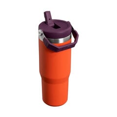 Термобутылка с соломинкой The IceFlow Flip Straw Tumbler 0,89 л оранжевая цена и информация | Термосы, термокружки | pigu.lt