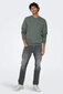 Bluzonas vyrams Only&Sons 22018683, žalias kaina ir informacija | Džemperiai vyrams | pigu.lt