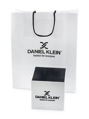 Часы для мужчин Daniel Klein DK.1.13517-1 + коробка TAY25968 цена и информация | Мужские часы | pigu.lt