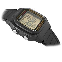 Часы для мужчин Casio W-800HG-9AVDF Klasyka цена и информация | Мужские часы | pigu.lt