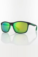 Солнцезащитные очки Superdry цена и информация | Солнцезащитные очки для мужчин | pigu.lt