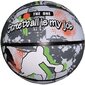 Krepšinio kamuolys Enero, įvairių spalvų цена и информация | Krepšinio kamuoliai | pigu.lt