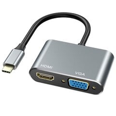 iLike HD4 2in1 Видеоадаптер - Конвертер с USB-C на Hdmi 4K 30Гц / VGA монитор Серебристый цена и информация | Адаптеры, USB-разветвители | pigu.lt