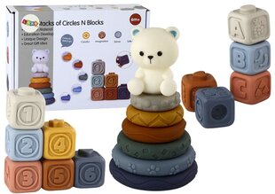 Rūšiuoklė Lean toys Pyramid Teddy Bear kaina ir informacija | Žaislai kūdikiams | pigu.lt