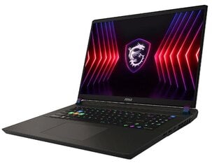 MSI Vector 17 HX A14VGG-216NL (VECTOR17HXA14VGG-216NL) цена и информация | Ноутбуки | pigu.lt