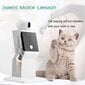 Įkraunamas lazerinis žaislas katėms Robotas kaina ir informacija | Žaislai katėms | pigu.lt