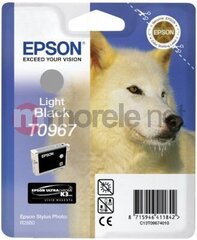 Epson C13T09674010 цена и информация | Картриджи для струйных принтеров | pigu.lt