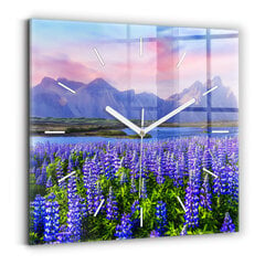 Sieninis laikrodis Islandijos Kalnų Vaizdas цена и информация | Часы | pigu.lt