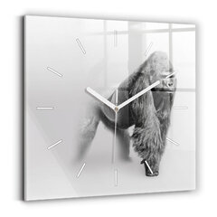 Sieninis laikrodis Gyvūnų Meno Kolekcija kaina ir informacija | Laikrodžiai | pigu.lt
