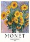 Reprodukcija Monet kaina ir informacija | Reprodukcijos, paveikslai | pigu.lt