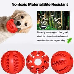 Резиновая игрушка для собак, красная, 5см цена и информация | Игрушки для собак | pigu.lt