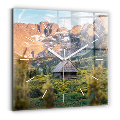 Sieninis laikrodis Namas Tatros Kalnuose kaina ir informacija | Laikrodžiai | pigu.lt