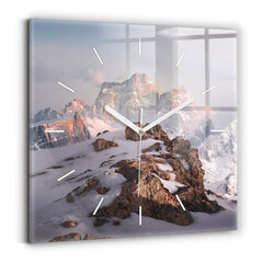 Sieninis laikrodis Viršuje Padengta Sniegu kaina ir informacija | Laikrodžiai | pigu.lt