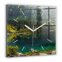 Sieninis laikrodis Morskie Oko Tatruose цена и информация | Часы | pigu.lt
