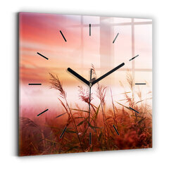Sieninis laikrodis Miglotas Rytas kaina ir informacija | Laikrodžiai | pigu.lt