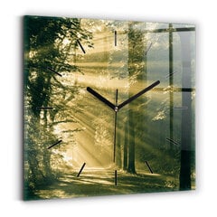 Sieninis laikrodis Saulės Spindulių Miškas kaina ir informacija | Laikrodžiai | pigu.lt