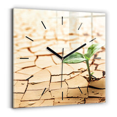 Sieninis laikrodis Pasodinkite Sausame Dirvožemyje kaina ir informacija | Laikrodžiai | pigu.lt