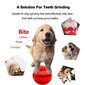 Guminis žaislas šuniui, 7 cm, raudonas цена и информация | Žaislai šunims | pigu.lt