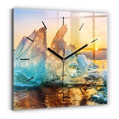 Sieninis laikrodis Ledo Ir Saulėtekio Kalnas цена и информация | Часы | pigu.lt