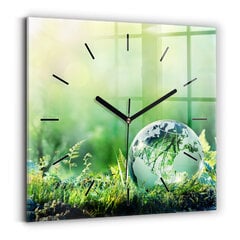 Sieninis laikrodis Gaublys kaina ir informacija | Laikrodžiai | pigu.lt
