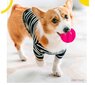 Guminis žaislas šuniui, 7 cm, rožinis kaina ir informacija | Žaislai šunims | pigu.lt